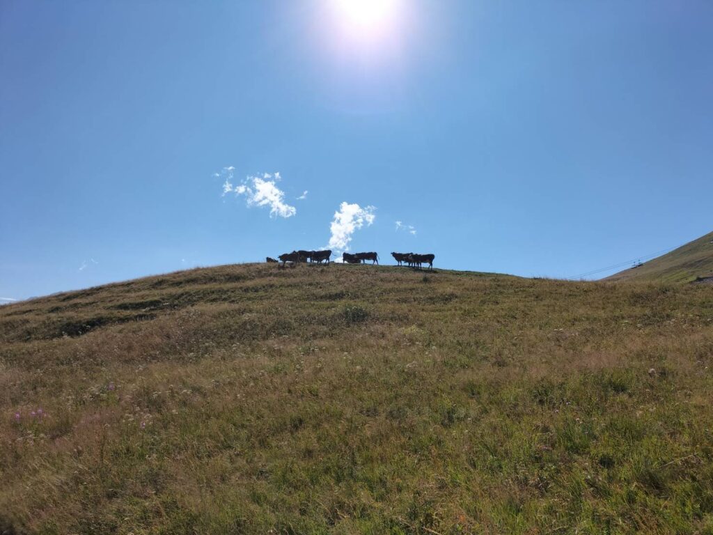 フランスアルプスの美しい風景