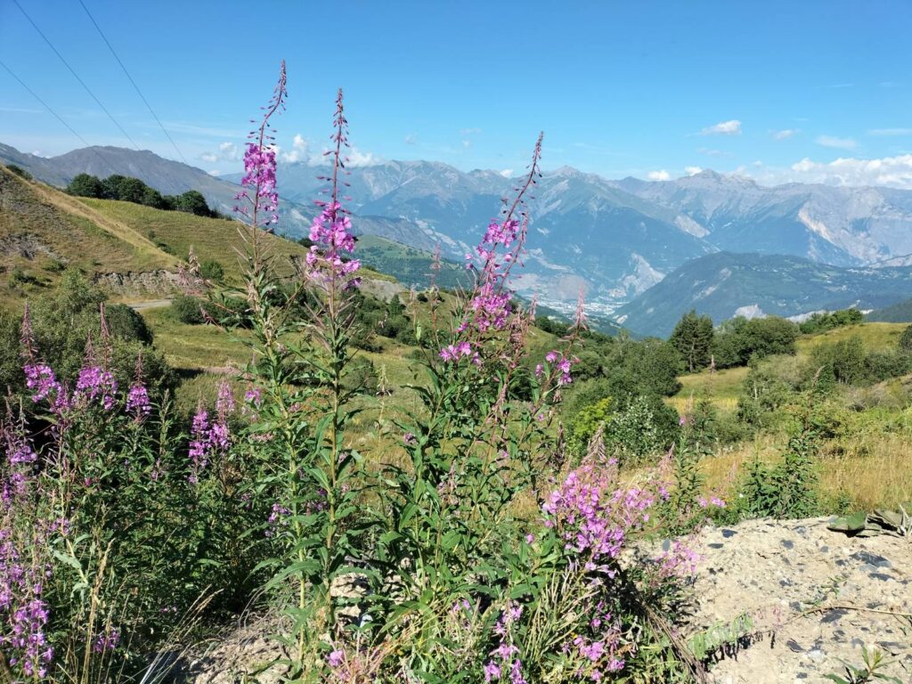 フランスアルプスの美しい山岳風景