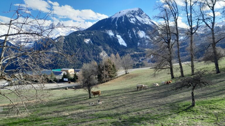 フランスアルプスの美しい山岳風景