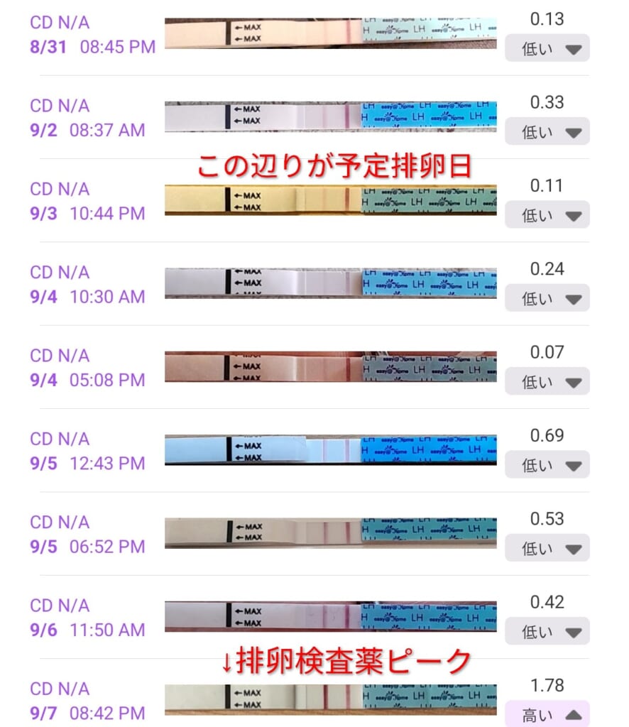 排卵検査薬の判定結果がわかるテストスティックの写真