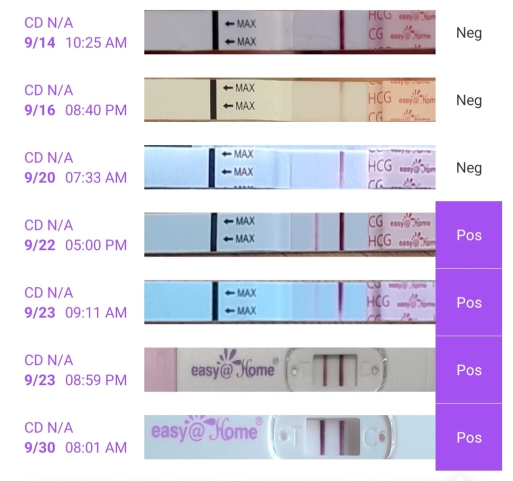 妊娠検査薬